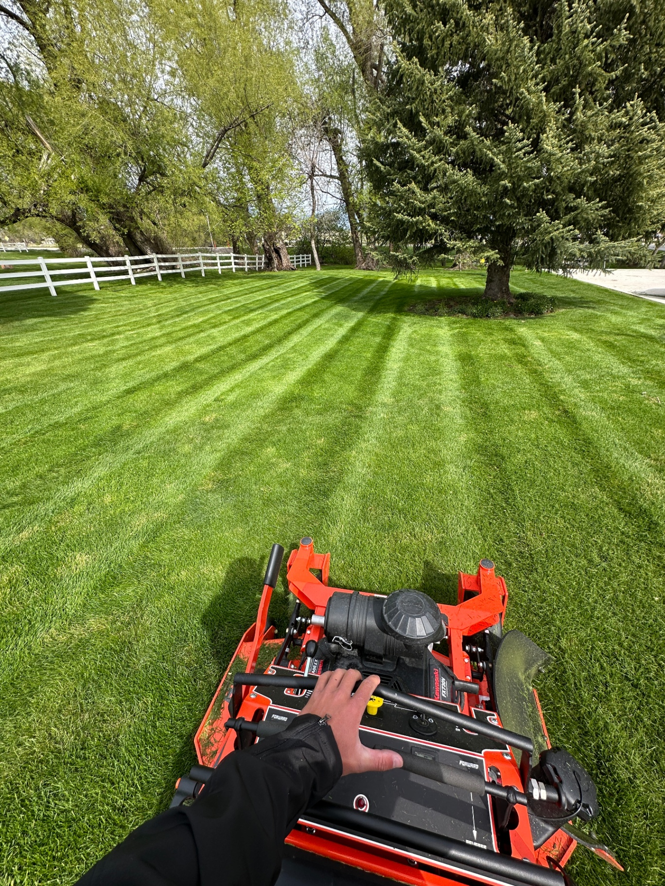 Crisp mowing stripes on a Mendon lawn by Groll Lawn Care