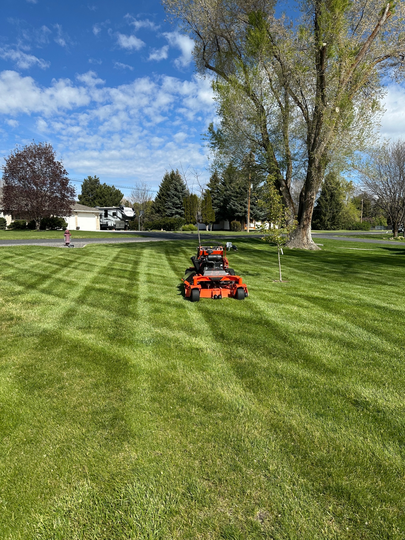 Groll Lawn Care stand-on mower cutting fresh stripes in a Mendon front yard